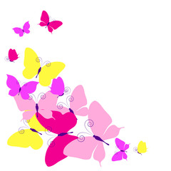 butterflies design