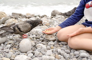 Young Kid Feeding Dove Bird Using Bare Hand
