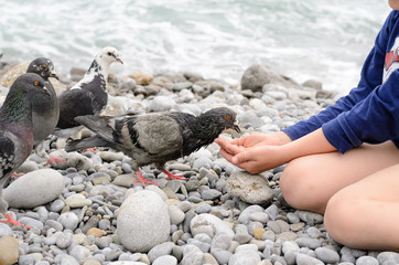 Young Kid Feeding Dove Bird Using Bare Hand