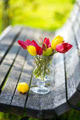 red and yellow tulips on bench