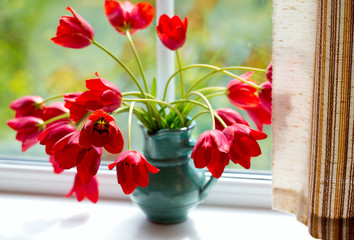 red tulips on window
