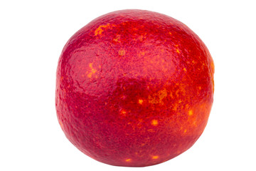 red oranges isolated on white background citrus Sicilian Moroccan