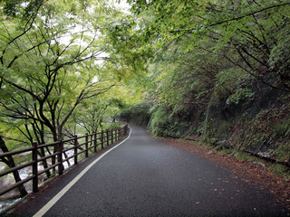 昇仙峡・渓谷沿いの道