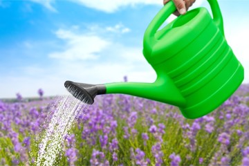 Watering Can, Blue, Sky. © BillionPhotos.com