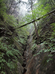 昇仙峡・苔生す断層