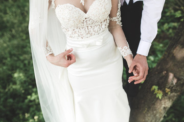 Bride and groom in the park