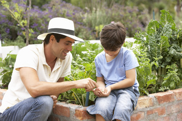 Mother And Son Working In Vegetable Garden