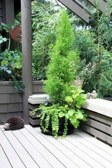 Green cypress planter on outdoor deck.