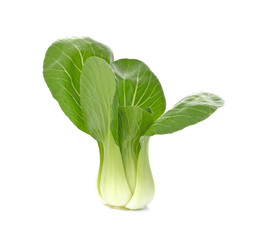 Bok choy (chinese cabbage) isolated on white