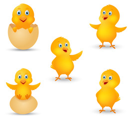 Happy chicks cartoon collection 
