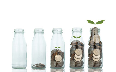 Growing plant step with coin money