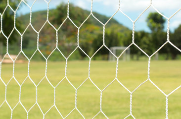 Fototapeta premium Soccer Field