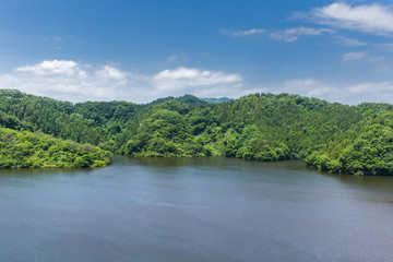 初夏の高原の湖 The Lake plateau and fresh green of Japan