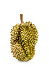 durian isolated on white background