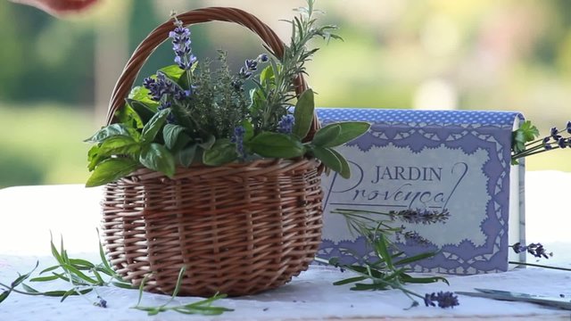 Herbes de Provence