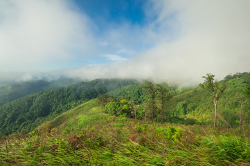Morning Mist at Tropical Mountain Range