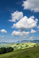 Fototapeta premium Summer landscape on the mountain