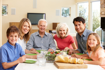 Family sharing meal