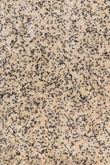 sesame seeds texture