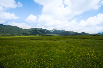 Obraz premium 尾瀬ヶ原