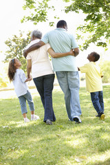 African American Grandparents With Grandchildren Walking In Park