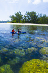 Coral in Koh Matsum.