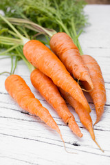 Fresh organic carrots.