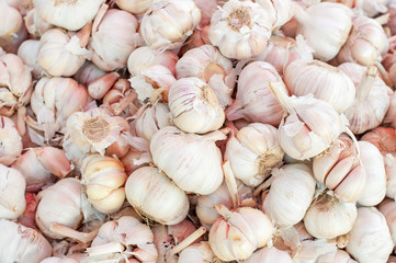 plenty of Thai garlic in the market