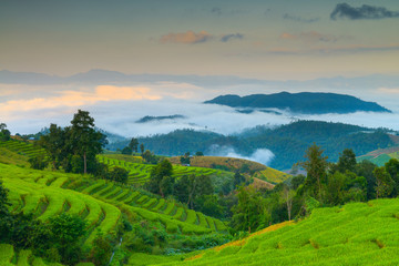Obraz premium Terraced rice and homes Chiang Mai