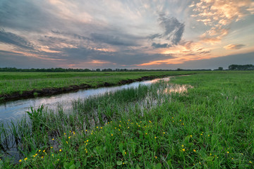 Fototapeta na wymiar creek in field at sunset