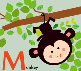 Animal alphabet for the kids: T for the Tiger