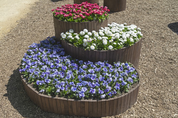 Three-level f lower beds in the form of wooden barrels © Sergey Rybin