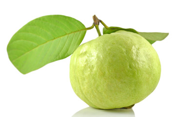 Guava fruit, Psidium sp., Family Myrtaceae, Central of Thailand