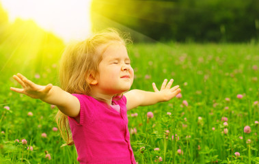 Fototapeta premium girl on the meadow