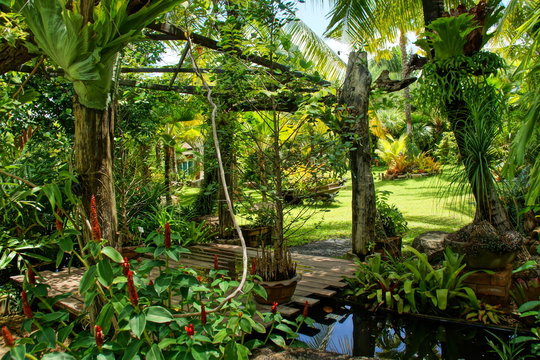 Giardino botanico Phuket