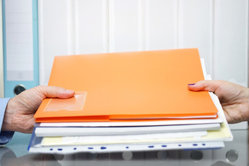 partners are exchange project documentation in office