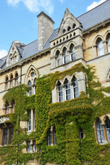 Fototapeta na wymiar Université d' Oxford, Oxfordshire, Angleterre, royaume-uni