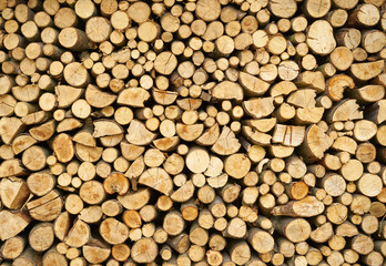 Background of dry stacked  firewood logs