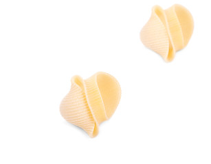 Close up of Italian pasta shells. 