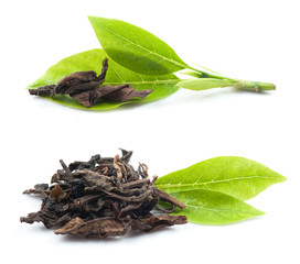 Black tea with green leaf isolated on white