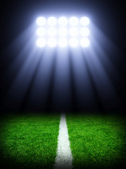 Naklejka premium stadium