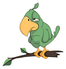 Naklejka premium Green parrot cartoon