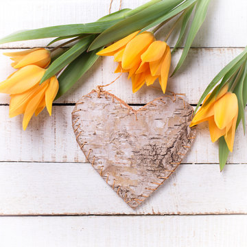 Background with fresh tulips and decorative heart