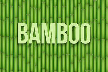 Fototapeta premium Green Bamboo background. Vector