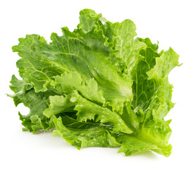 Leaf fresh lettuce. Isolated on white background