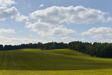 Summer landscape with wheat field and clouds