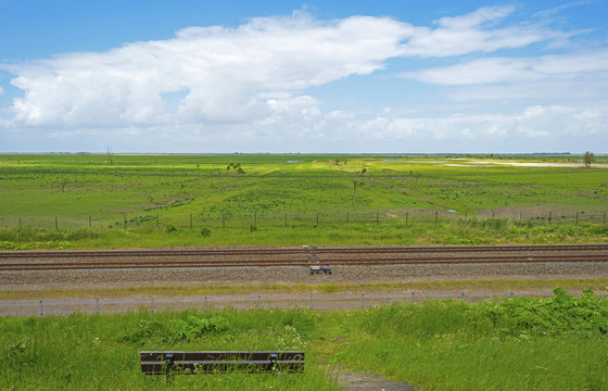 Wooden bench along a railroad through nature