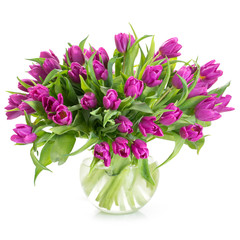 tulip