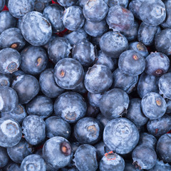 blueberries
