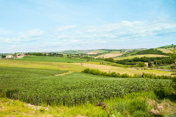Fototapeta na wymiar paesaggio di campagna con colline e valli